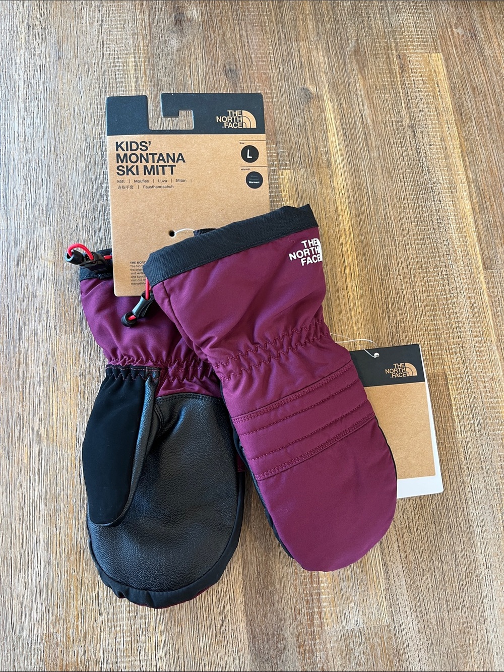 Montana Ski Mitt North Face